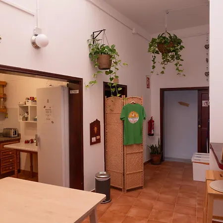 Bed & Breakfast Tabaiba Buenavista Del Norte