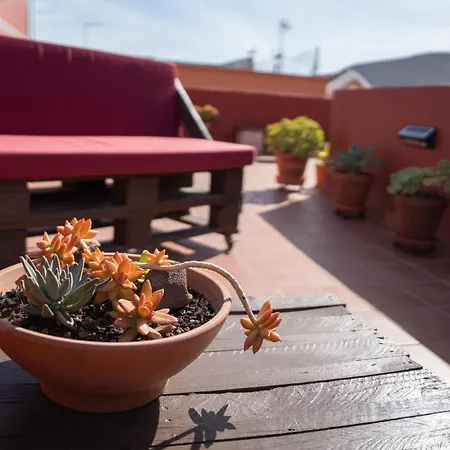 Tabaiba Bed & Breakfast Buenavista Del Norte